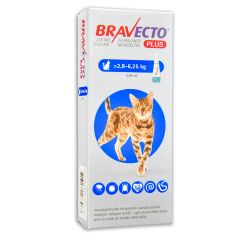Bravecto Cat Plus 250 mg 2,8-6,25 kg spot on