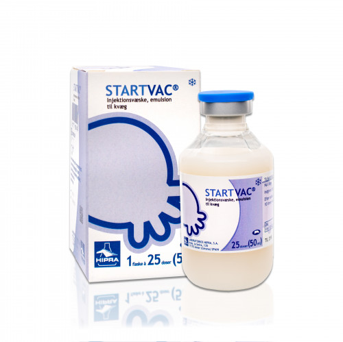 STARTVAC emulziós injekció szarvasmarháknak A.U.V. -1x25 adag